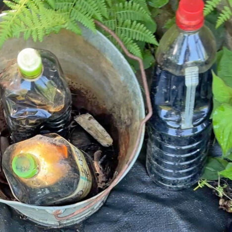 木酢液の蚊対策、ボウフラ対策